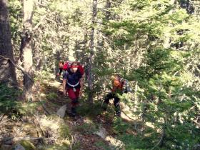 photo coins arrondis